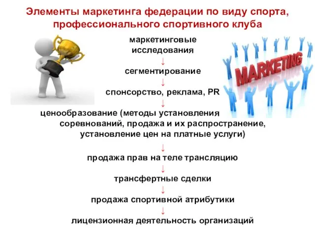 Элементы маркетинга федерации по виду спорта, профессионального спортивного клуба