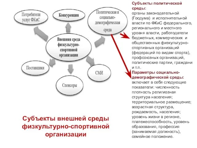 Субъекты внешней среды физкультурно-спортивной организации Субъекты политической среды: органы законодательной