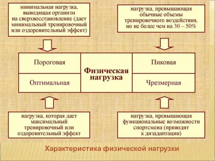 Характеристика физической нагрузки