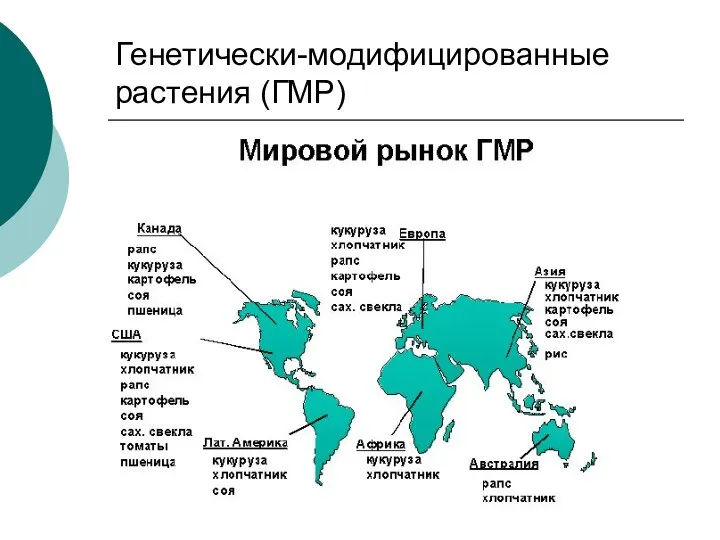 Генетически-модифицированные растения (ГМР)