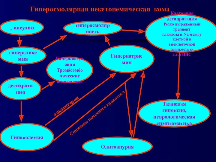 Гиперосмолярная некетонемическая кома гипергликемия ↓ инсулин дегидратация Гиповолемия Гипернатриемия альдостерон