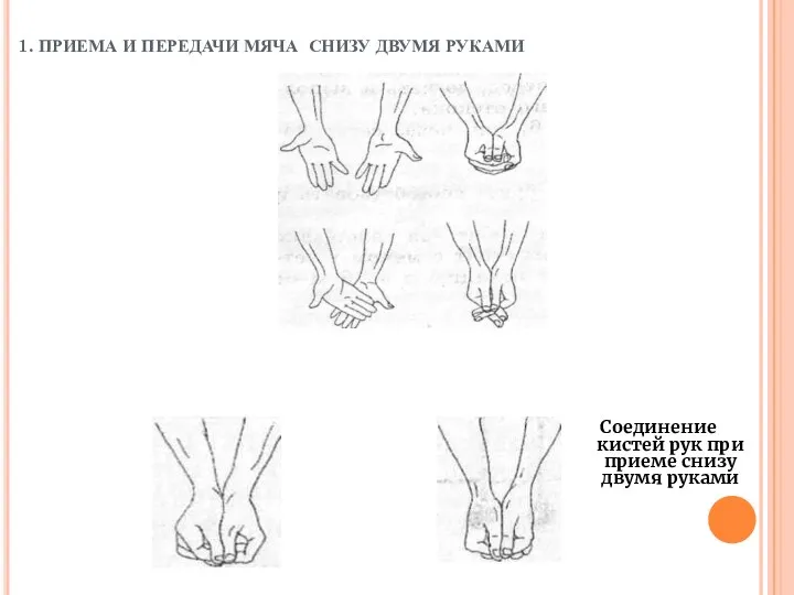1. ПРИЕМА И ПЕРЕДАЧИ МЯЧА СНИЗУ ДВУМЯ РУКАМИ Соединение кистей рук при приеме снизу двумя руками