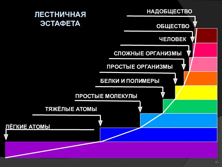 ЛЁГКИЕ АТОМЫ ЛЕСТНИЧНАЯ ЭСТАФЕТА ТЯЖЁЛЫЕ АТОМЫ ПРОСТЫЕ МОЛЕКУЛЫ БЕЛКИ И