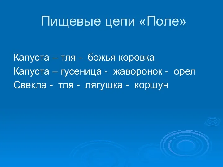 Пищевые цепи «Поле» Капуста – тля - божья коровка Капуста