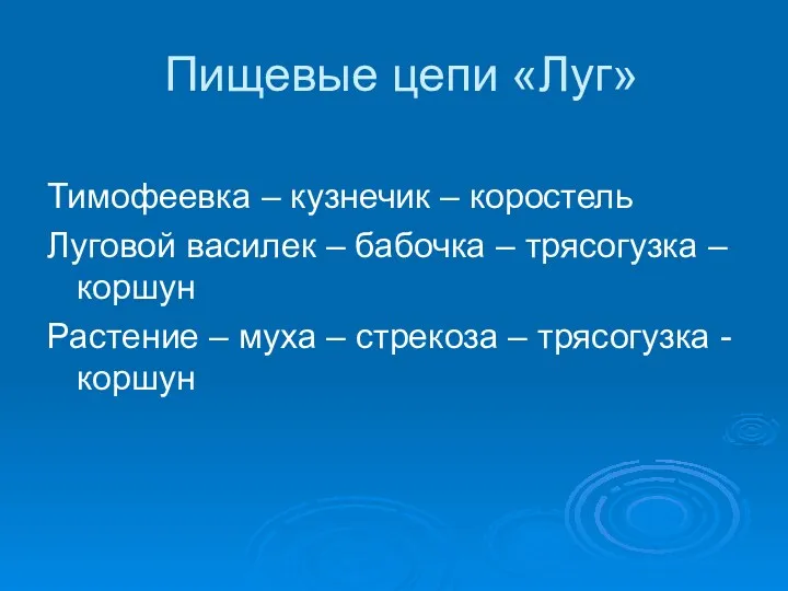 Пищевые цепи «Луг» Тимофеевка – кузнечик – коростель Луговой василек