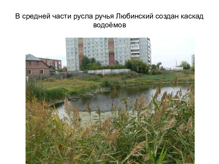 В средней части русла ручья Любинский создан каскад водоёмов