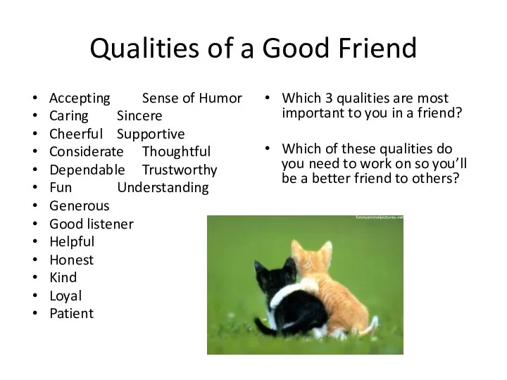 Qualities of a Good Friend Accepting Sense of Humor Caring