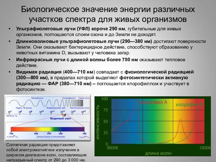 Биологическое значение энергии различных участков спектра для живых организмов Ультрафиолетовые