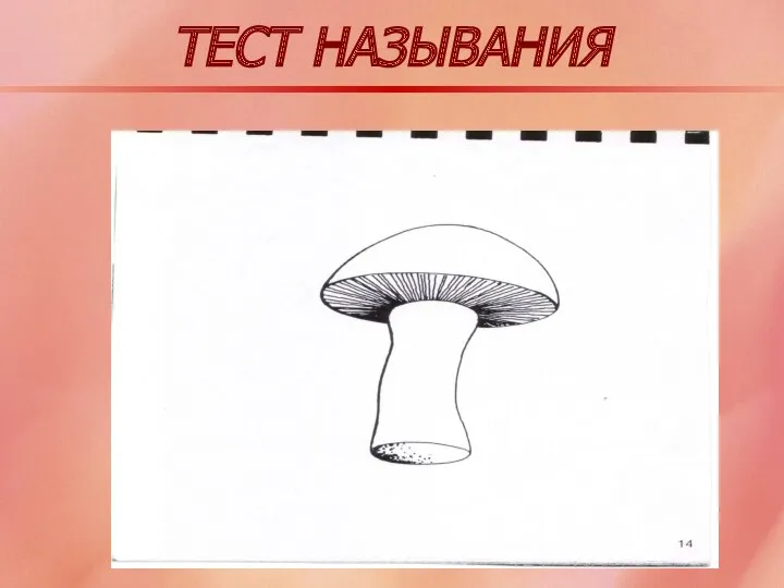 ТЕСТ НАЗЫВАНИЯ