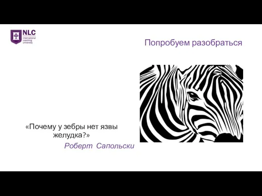 Попробуем разобраться «Почему у зебры нет язвы желудка?» Роберт Сапольски