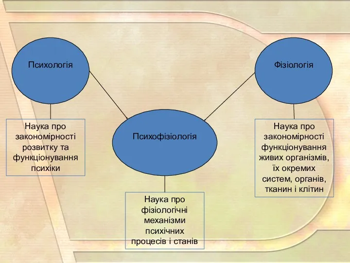 Психологія Фізіологія Психофізіологія Наука про закономірності розвитку та функціонування психіки Наука про фізіологічні