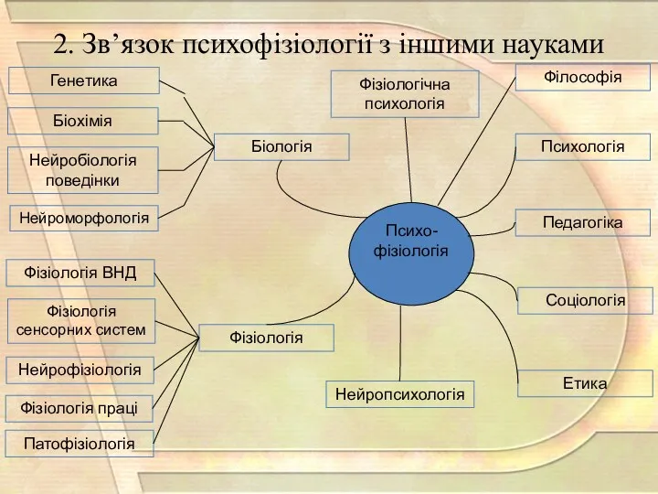 2. Зв’язок психофізіології з іншими науками Генетика Біохімія Біологія Нейробіологія поведінки Нейроморфологія Фізіологія