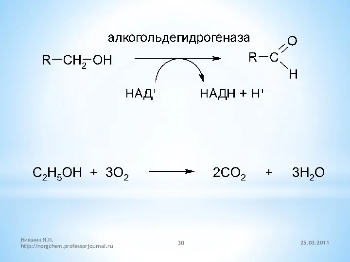 25.03.2011 Нижник Я.П. http://norgchem.professorjournal.ru