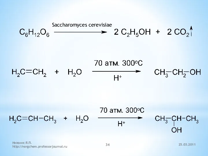 Saccharomyces cerevisiae 25.03.2011 Нижник Я.П. http://norgchem.professorjournal.ru