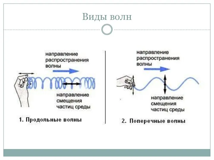 Виды волн