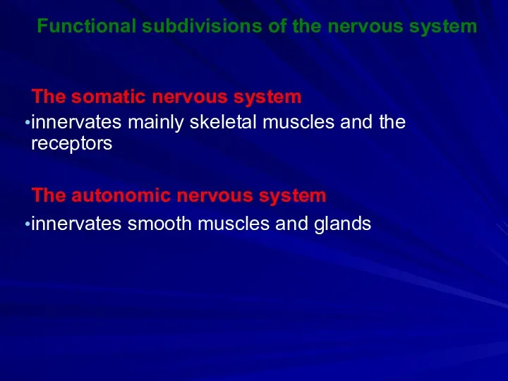 Functional subdivisions of the nervous system The somatic nervous system innervates mainly skeletal
