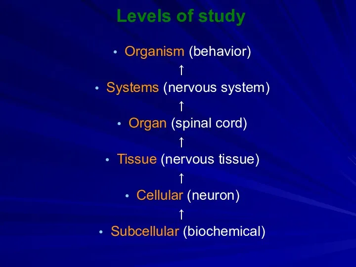 Levels of study Organism (behavior) ↑ Systems (nervous system) ↑ Organ (spinal cord)
