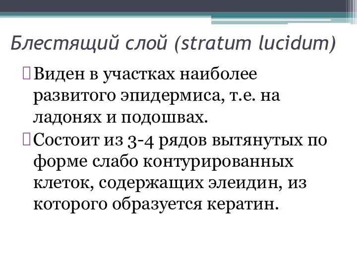 Блестящий слой (stratum lucidum) Виден в участках наиболее развитого эпидермиса, т.е. на ладонях