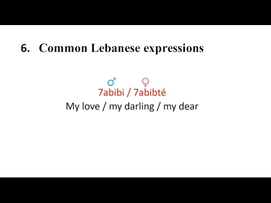 6. Common Lebanese expressions