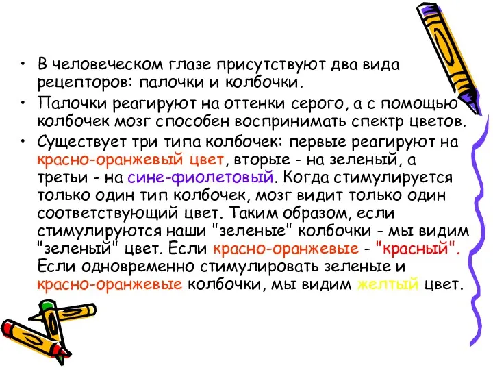 В человеческом глазе присутствуют два вида рецепторов: палочки и колбочки. Палочки реагируют на