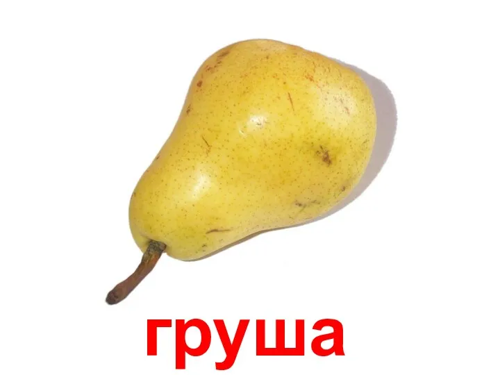 груша