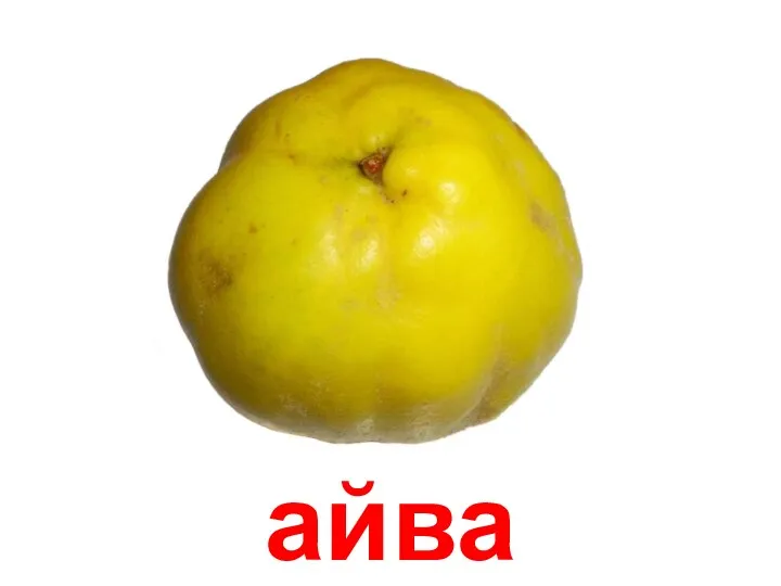 айва