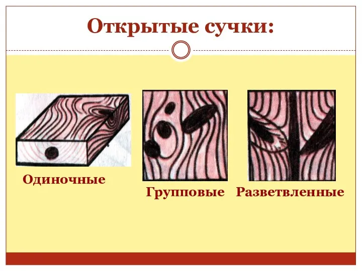 Открытые сучки: Одиночные Групповые Разветвленные