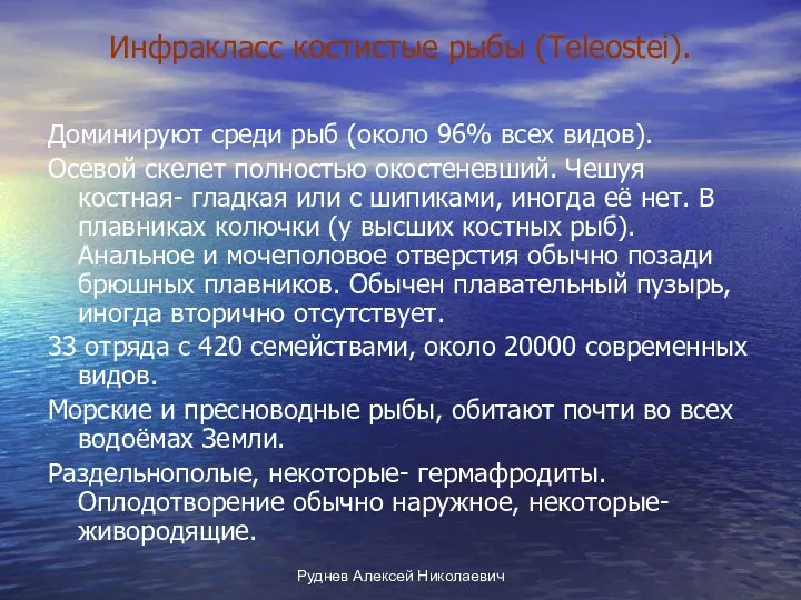 Руднев Алексей Николаевич Инфракласс костистые рыбы (Teleostei). Доминируют среди рыб