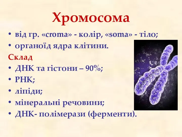 Хромосома від гр. «croma» - колір, «soma» - тіло; органоїд