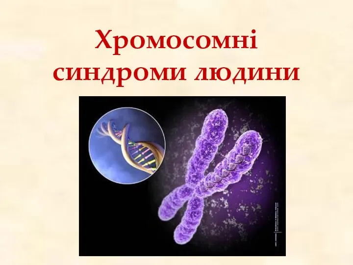 Хромосомні синдроми людини