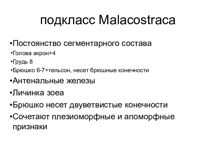 подкласс Malacostraca Постоянство сегментарного состава Голова акрон+4 Грудь 8 Брюшко