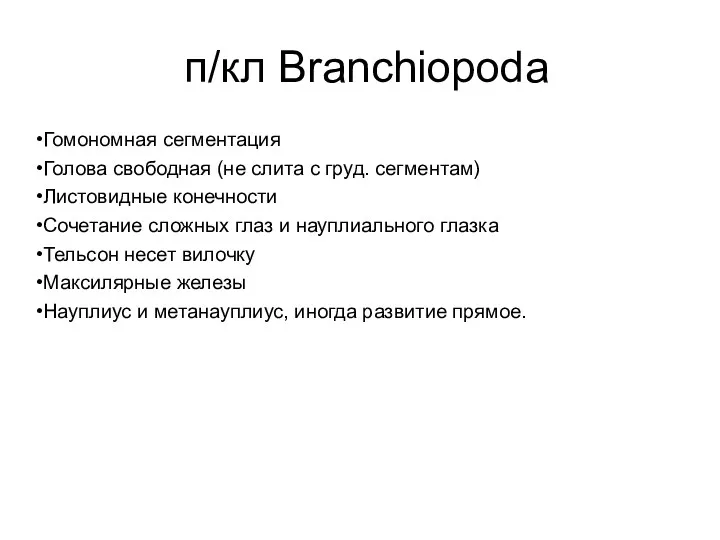 п/кл Branchiopoda Гомономная сегментация Голова свободная (не слита с груд.