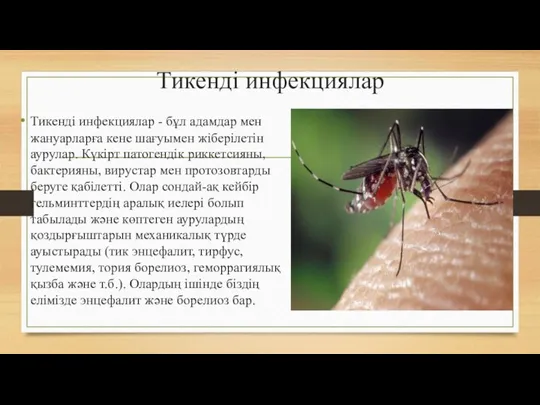 Тикенді инфекциялар Тикенді инфекциялар - бұл адамдар мен жануарларға кене