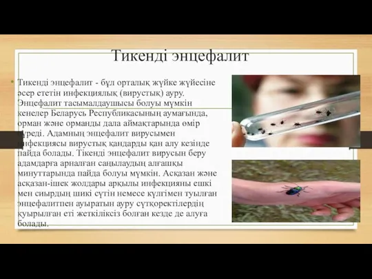 Тикенді энцефалит Тикенді энцефалит - бұл орталық жүйке жүйесіне әсер