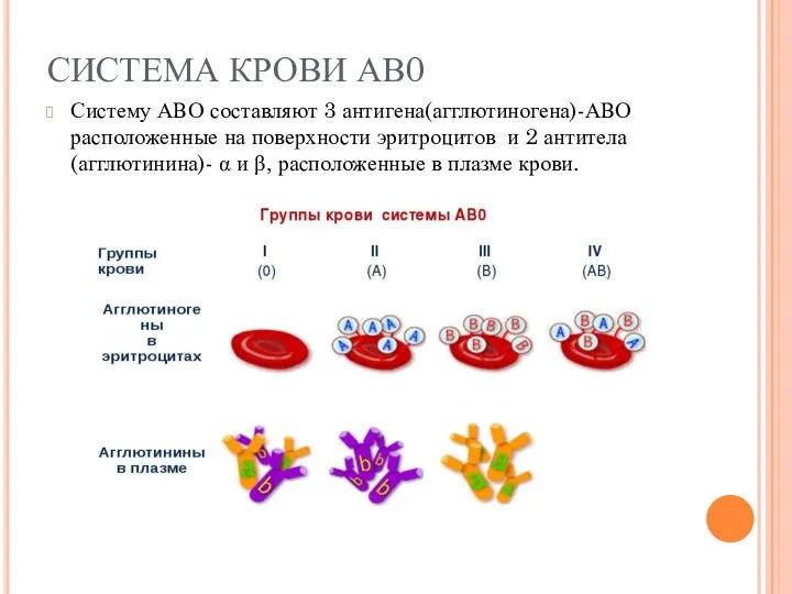 Косимова О.И. СИСТЕМА КРОВИ АВ0 Систему АВО составляют 3 антигена(агглютиногена)-АВО расположенные на поверхности