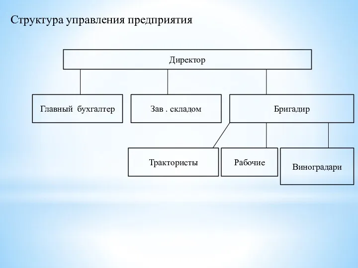 Структура управления предприятия Директор Главный бухгалтер Зав . складом Бригадир Трактористы Рабочие Виноградари