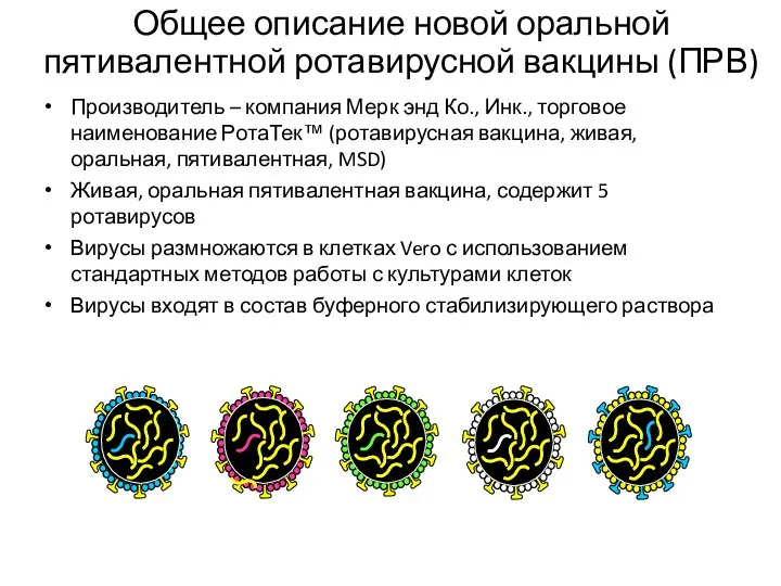 G1 WI79 G2 SC2 G3 WI78 G4 BrB Общее описание новой оральной пятивалентной