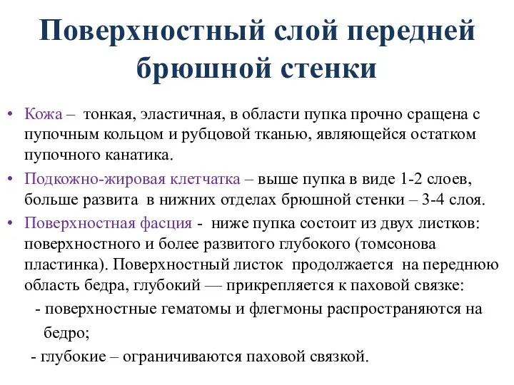 Поверхностный слой передней брюшной стенки Кожа – тонкая, эластичная, в