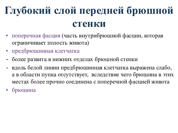 Глубокий слой передней брюшной стенки поперечная фасция (часть внутрибрюшной фасции,