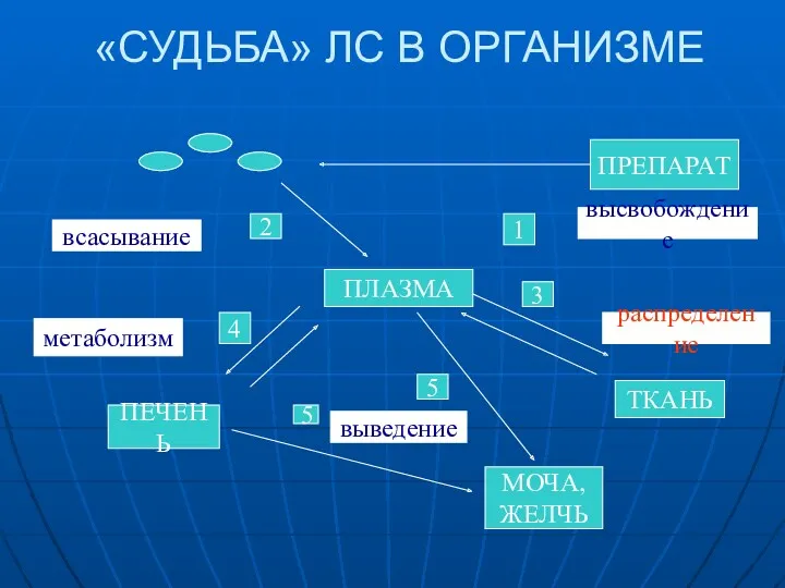 «СУДЬБА» ЛС В ОРГАНИЗМЕ ПРЕПАРАТ ПЛАЗМА ТКАНЬ МОЧА, ЖЕЛЧЬ ПЕЧЕНЬ