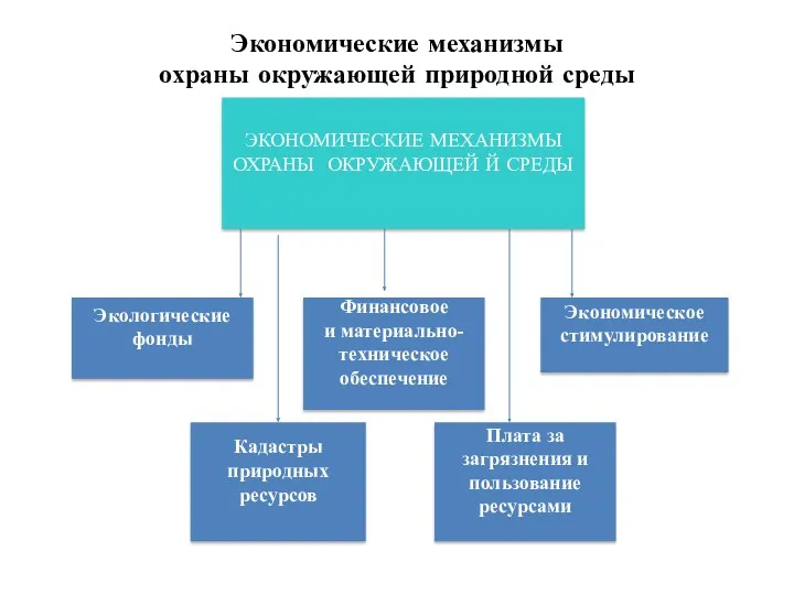 ЭКОНОМИЧЕСКИЕ МЕХАНИЗМЫ ОХРАНЫ ОКРУЖАЮЩЕЙ Й СРЕДЫ Кадастры природных ресурсов Финансовое