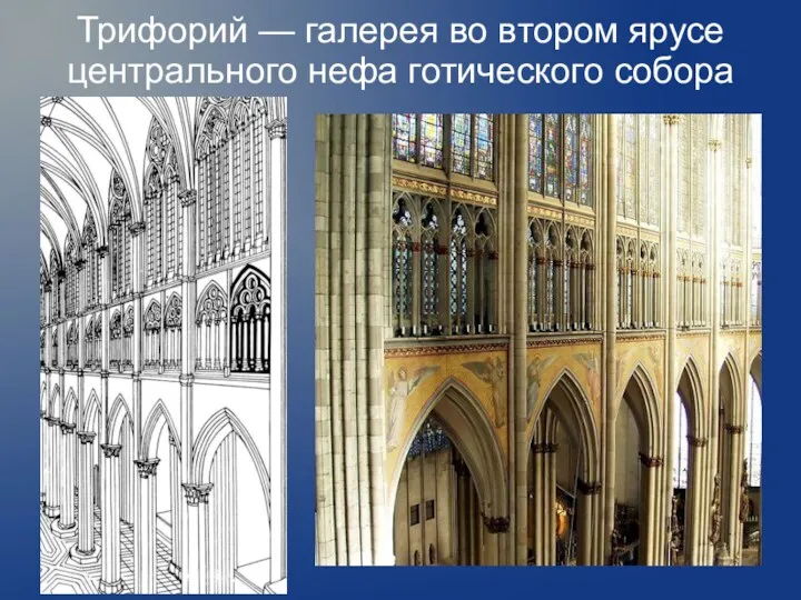 Трифорий — галерея во втором ярусе центрального нефа готического собора