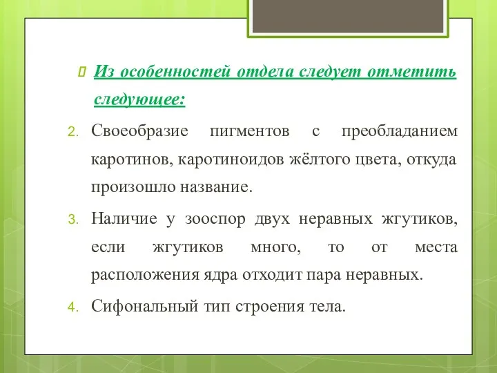 Из особенностей отдела следует отметить следующее: Своеобразие пигментов с преобладанием