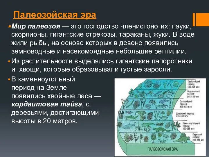 Палеозойская эра Мир палеозоя — это господство членистоногих: пауки, скорпионы,