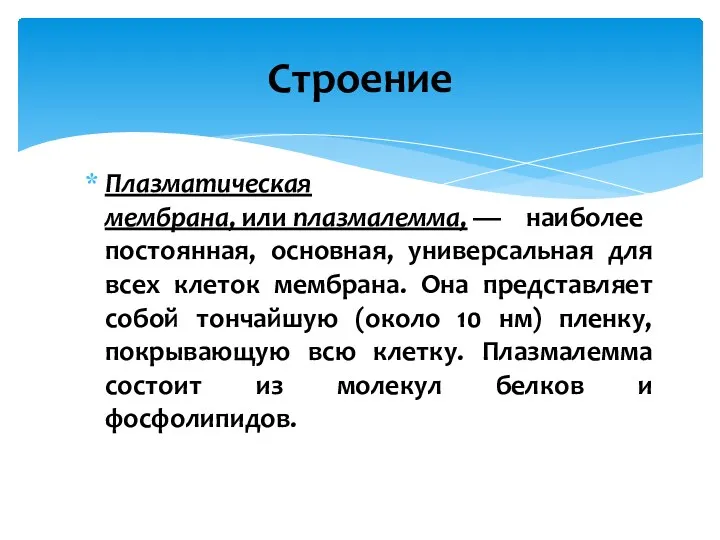 Плазматическая мембрана, или плазмалемма, — наиболее постоянная, основная, универсальная для