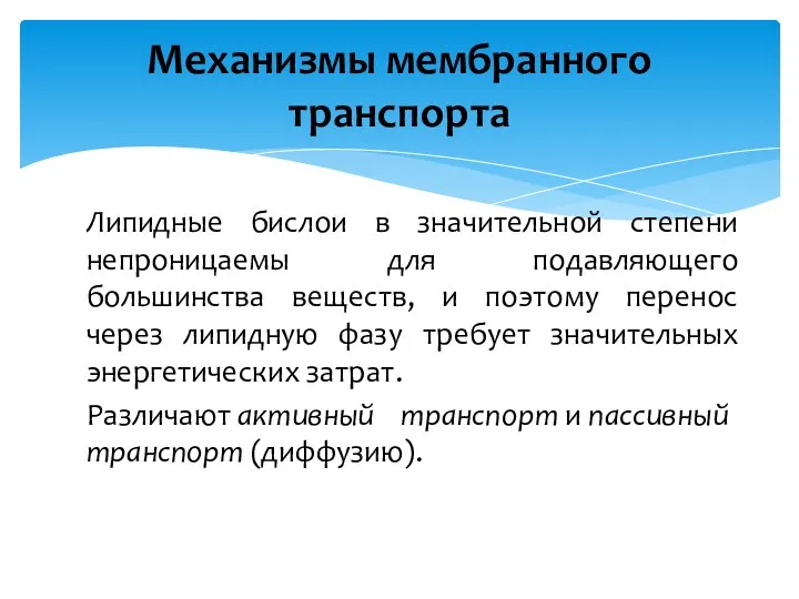 Механизмы мембранного транспорта Липидные бислои в значительной степени непроницаемы для