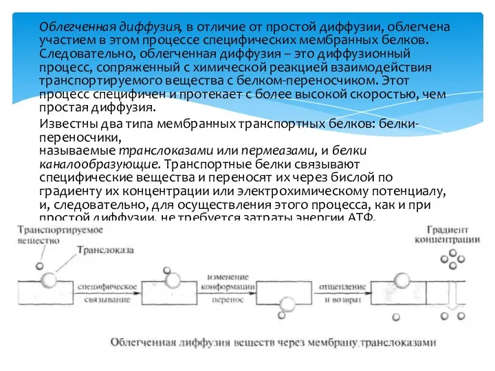 Облегченная диффузия, в отличие от простой диффузии, облегчена участием в