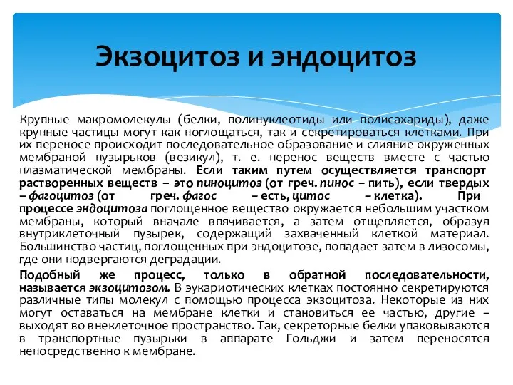 Экзоцитоз и эндоцитоз Крупные макромолекулы (белки, полинуклеотиды или полисахариды), даже