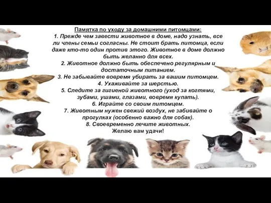 Памятка по уходу за домашними питомцами: 1. Прежде чем завести животное в доме,