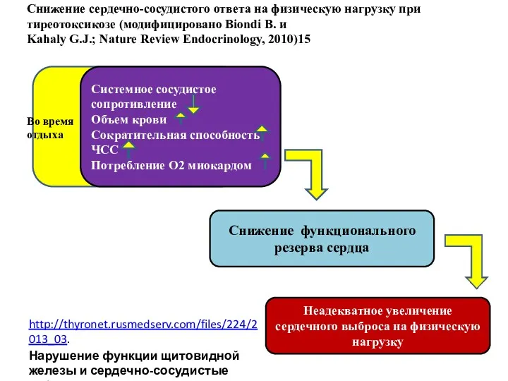 ВО СЧСЧСМ Системное сосудистое сопротивление Объем крови Сократительная способность ЧСС Потребление О2 миокардом